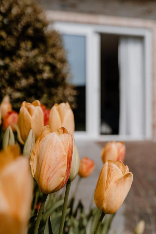 Duinvilla Aan De Zee B&B Zoutelande Zewnętrze zdjęcie